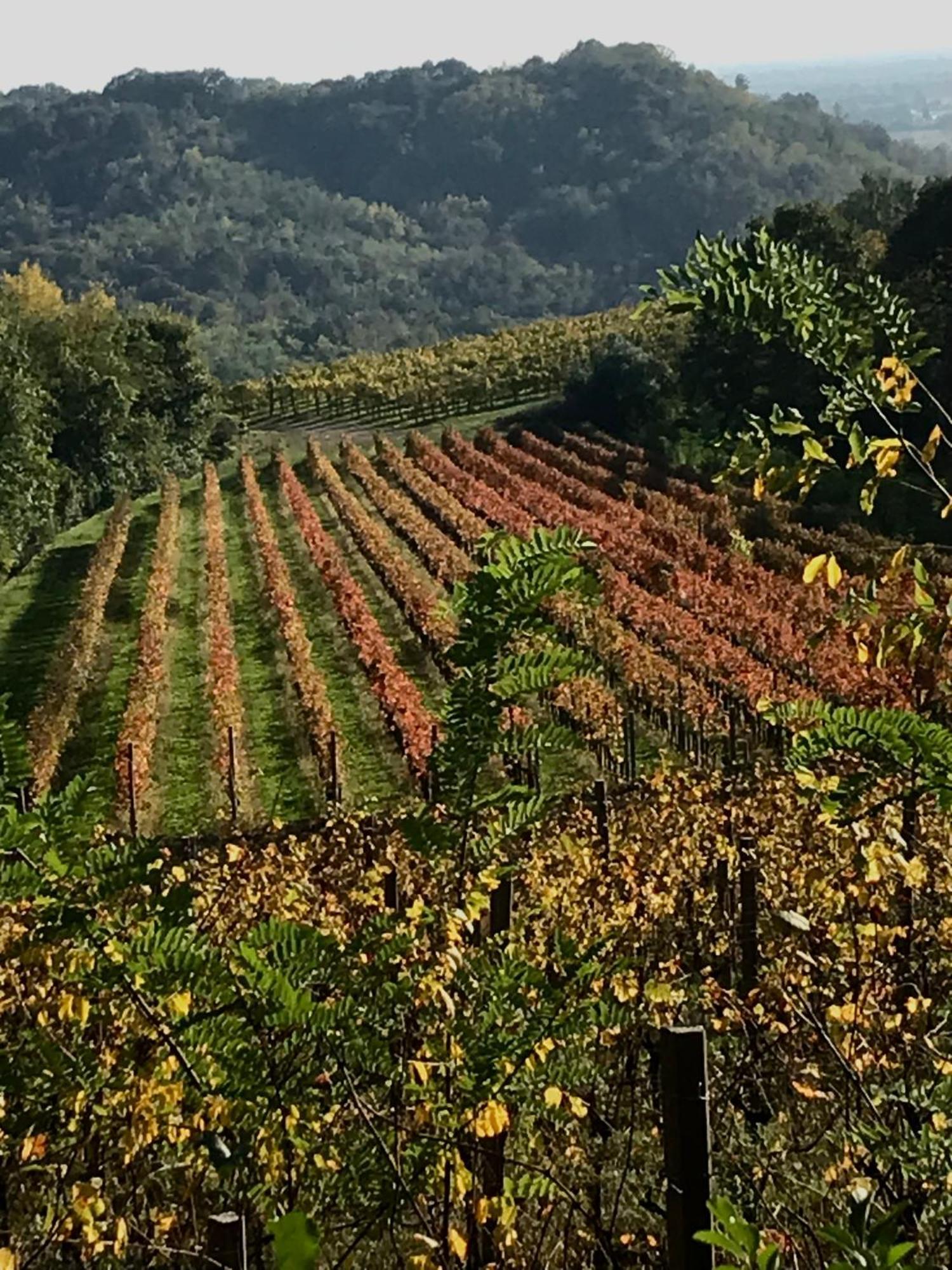 Tenuta Valdomini Attimis Exterior foto