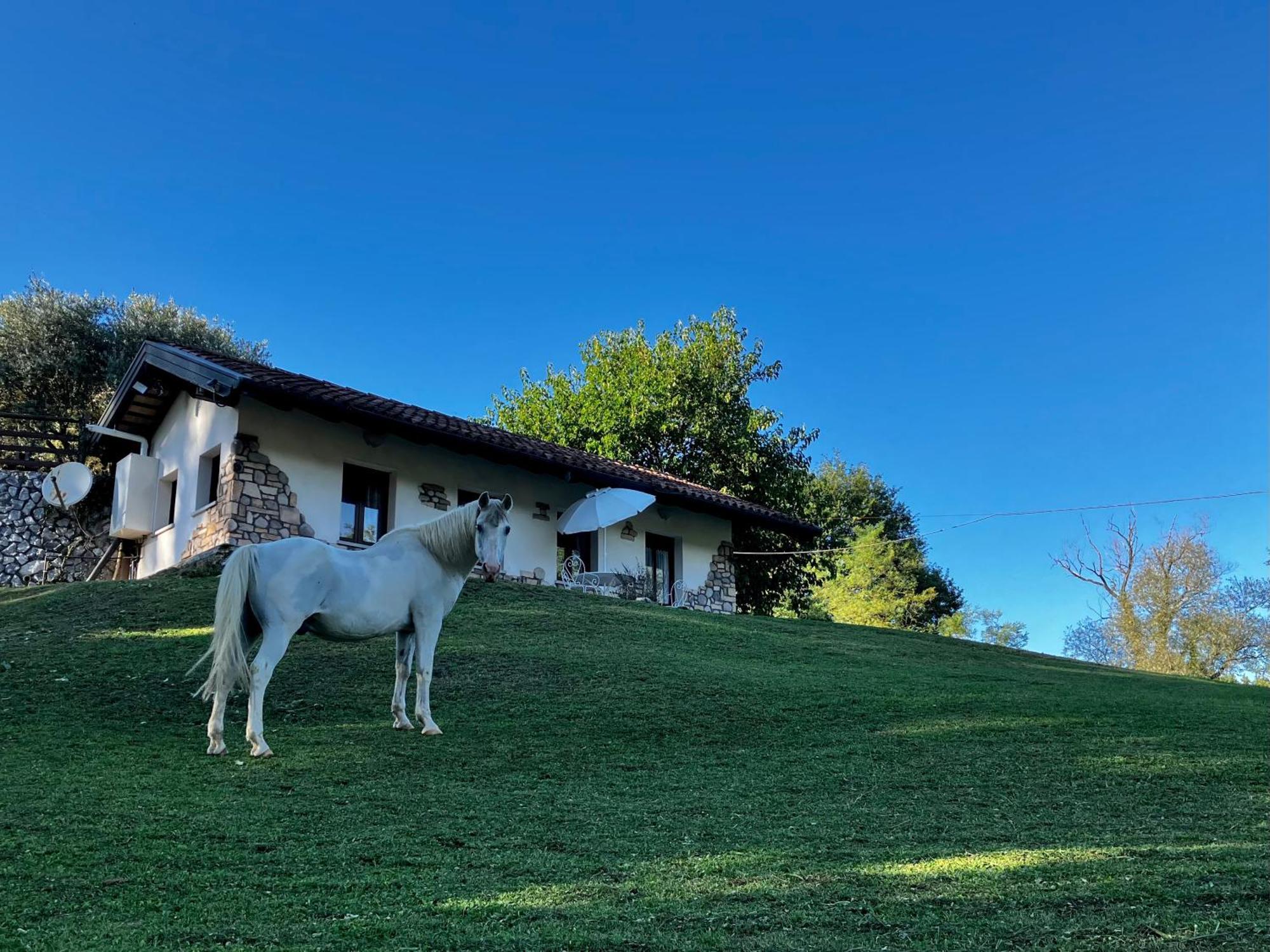 Tenuta Valdomini Attimis Exterior foto