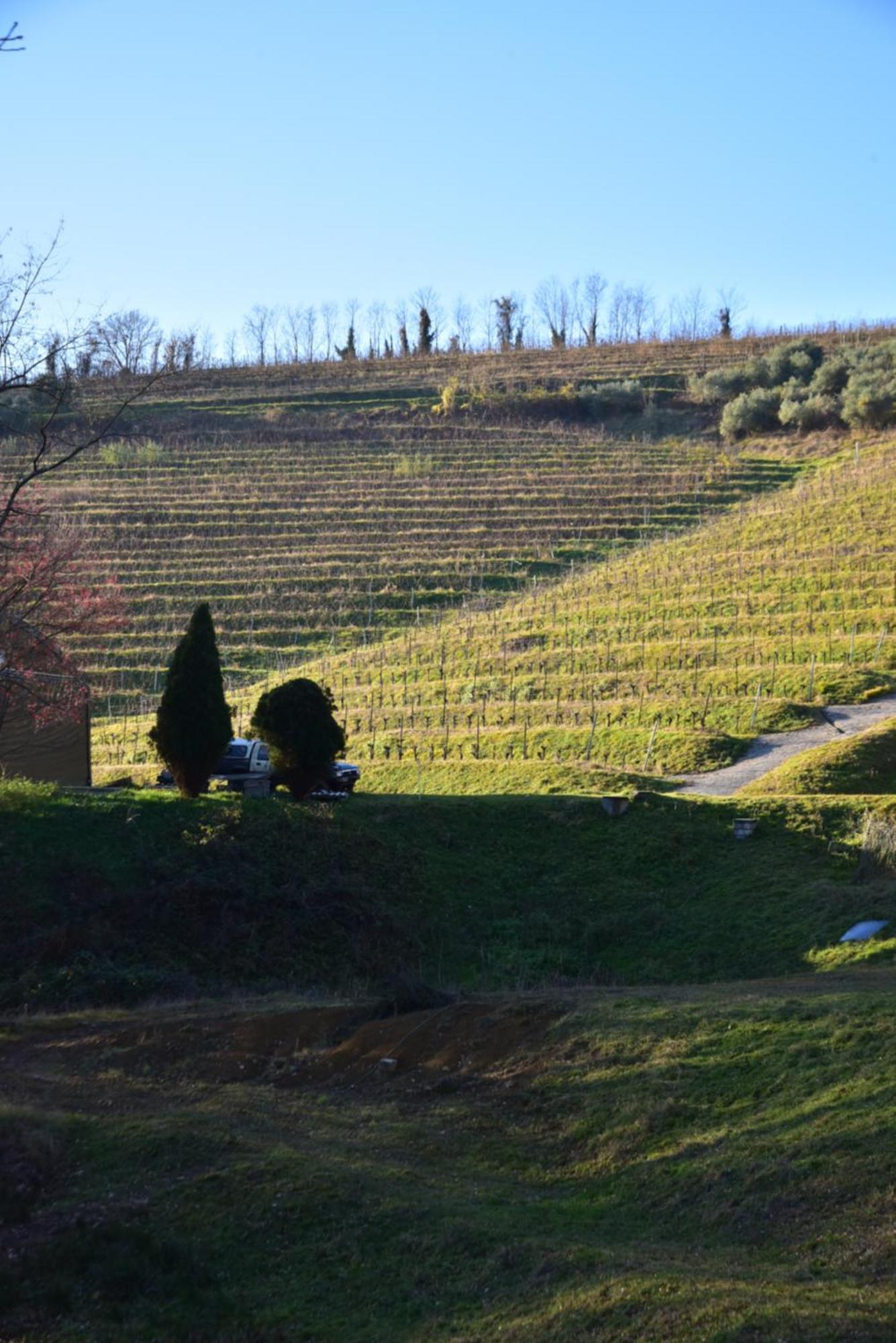 Tenuta Valdomini Attimis Exterior foto