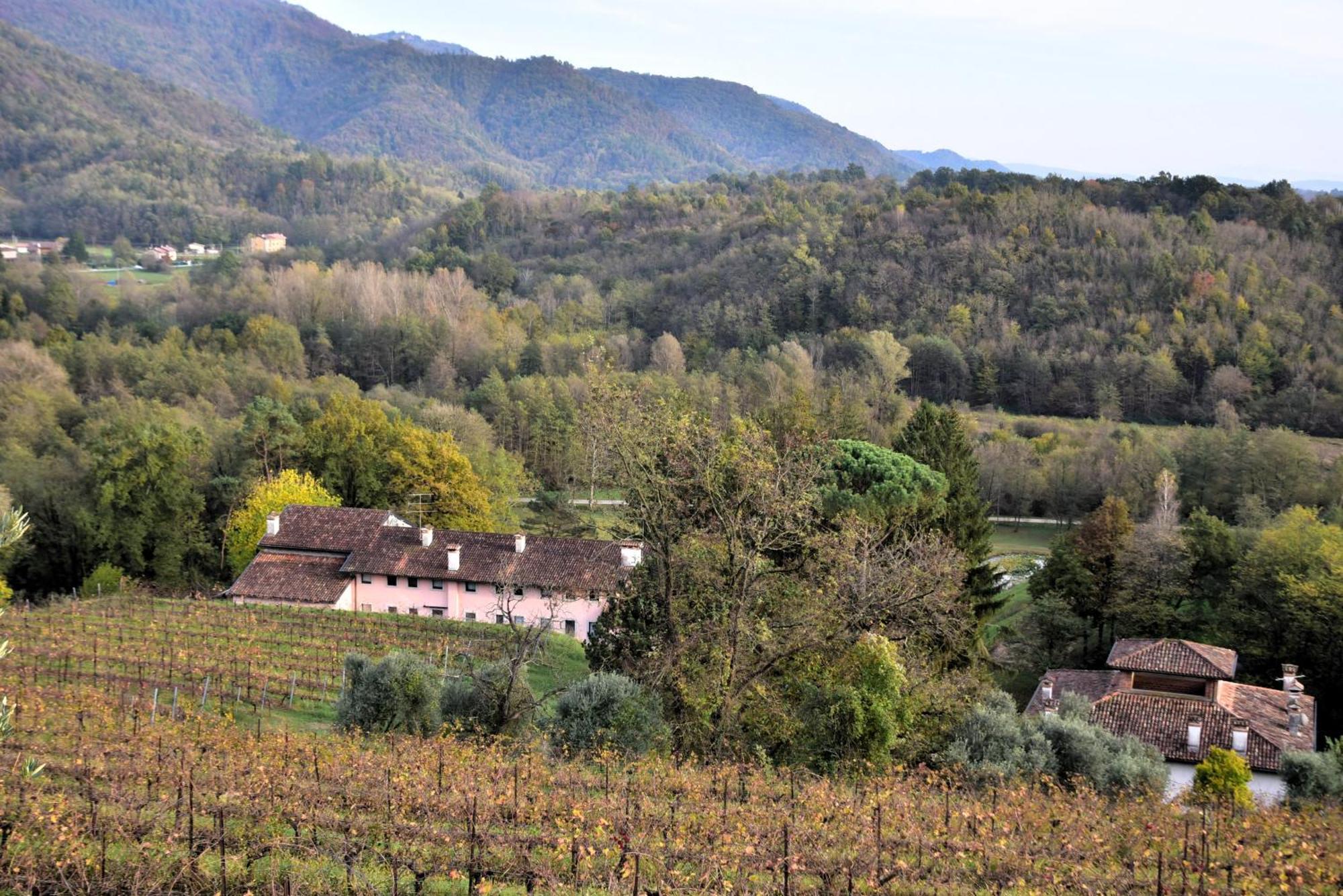 Tenuta Valdomini Attimis Exterior foto